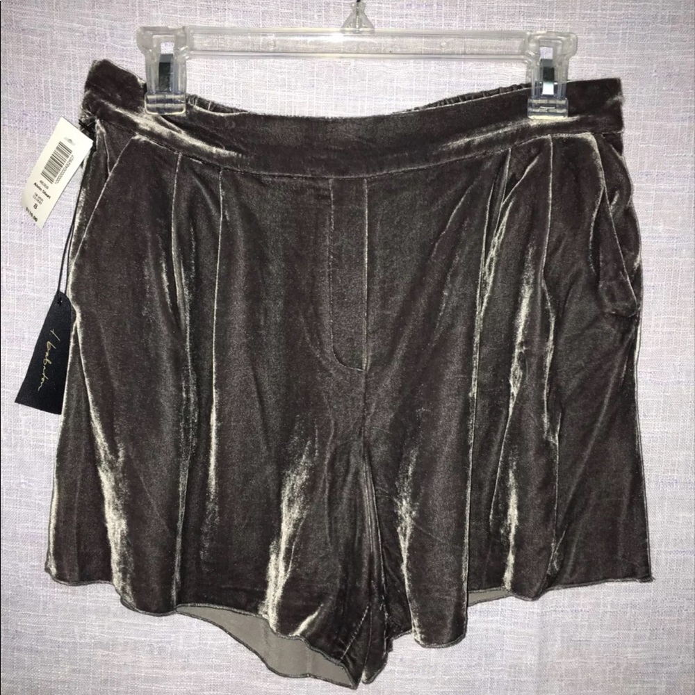 Aritzia Alvin Shorts Velvet Sz 8 M T.Babaton med